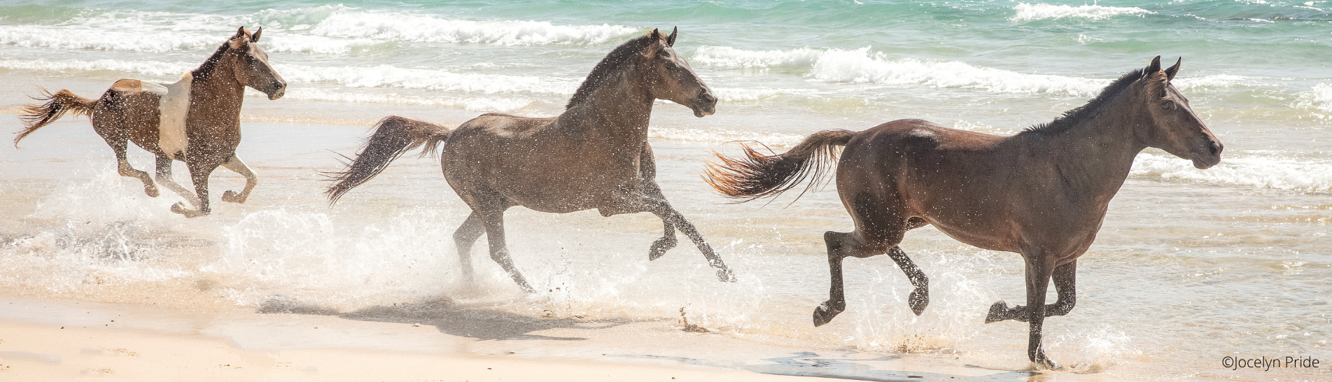 Code of Ethics 2.png